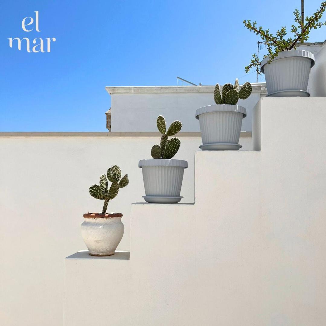 Апартаменти El-Mar Locazione Turistica House With Exclusive Terrace Поліньяно-а-Маре Екстер'єр фото